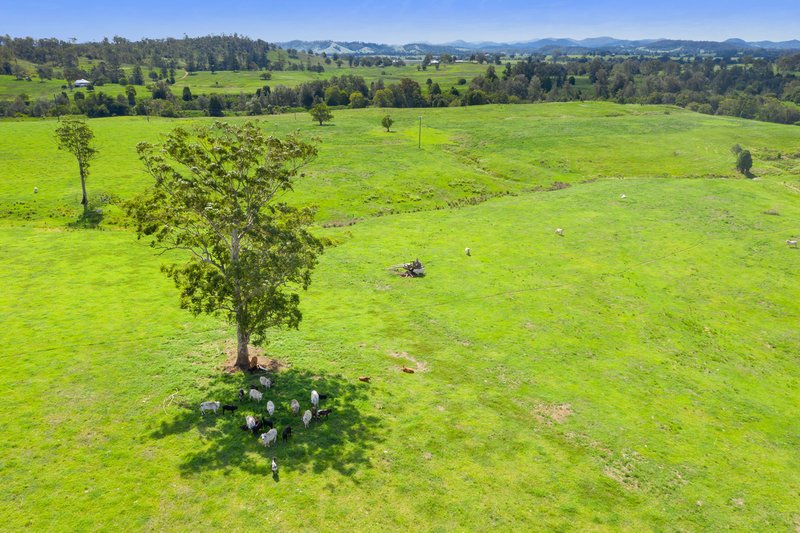 Photo - Lot 9 1023 Kenilworth Skyring Creek Road, Carters Ridge QLD 4563 - Image 5