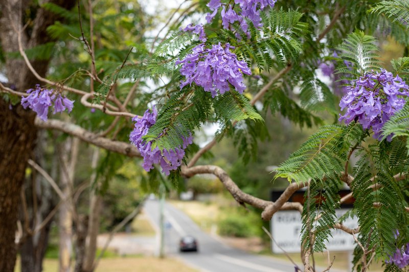 Photo - Lot 9, 20 Bahrs Scrub Road, Bahrs Scrub QLD 4207 - Image 4