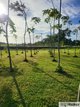 Photo - Lot 9 Andy Sorbello Road, Silky Oak QLD 4854 - Image 2