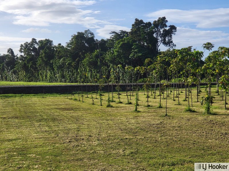 Photo - Lot 9 Andy Sorbello Road, Silky Oak QLD 4854 - Image 4