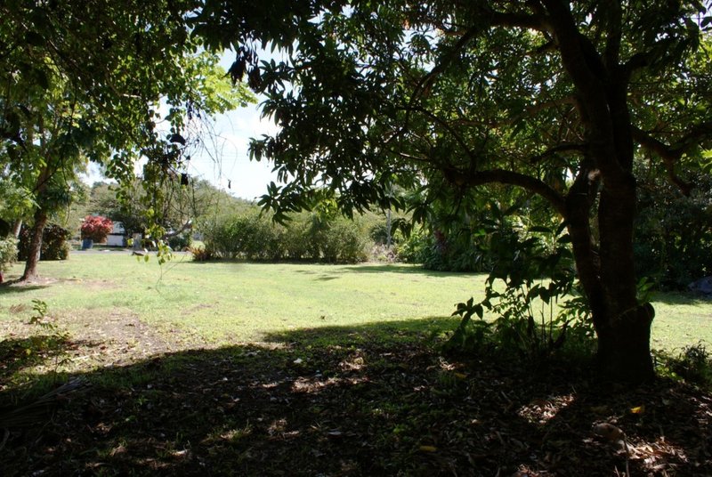 Photo - Lot 9 Be Amba Street, Bingil Bay QLD 4852 - Image 4