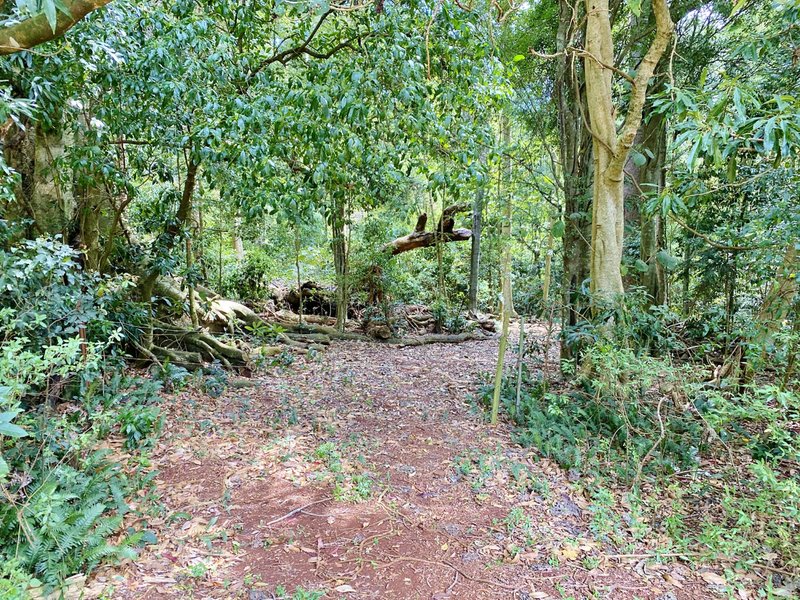 Lot 9 Bunya Mountains Road, Bunya Mountains QLD 4405