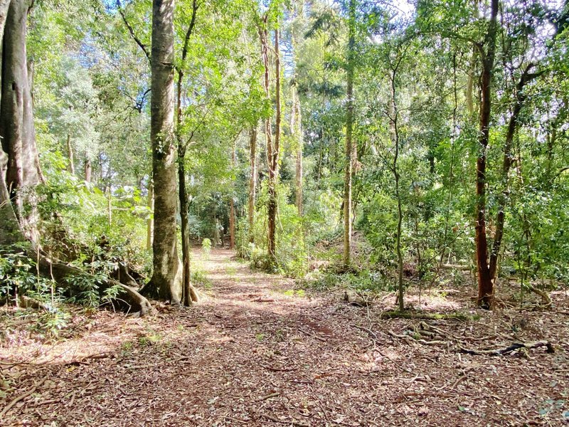 Photo - Lot 9 Bunya Mountains Road, Bunya Mountains QLD 4405 - Image 3