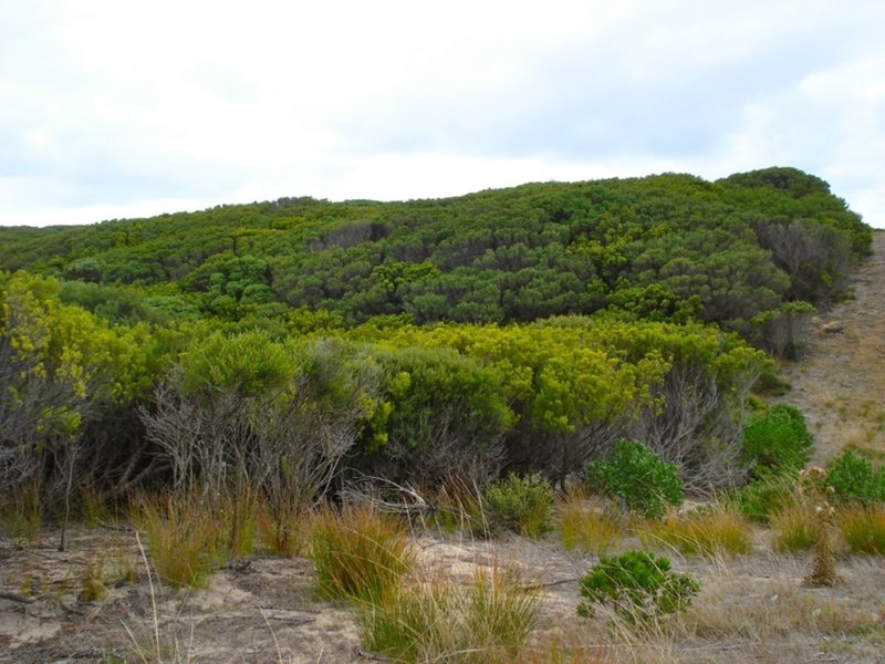 Photo - Lot 9 Charles St, Currie , King Island TAS 7256 - Image 3