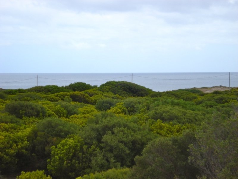 Photo - Lot 9 Charles St, Currie , King Island TAS 7256 - Image 4