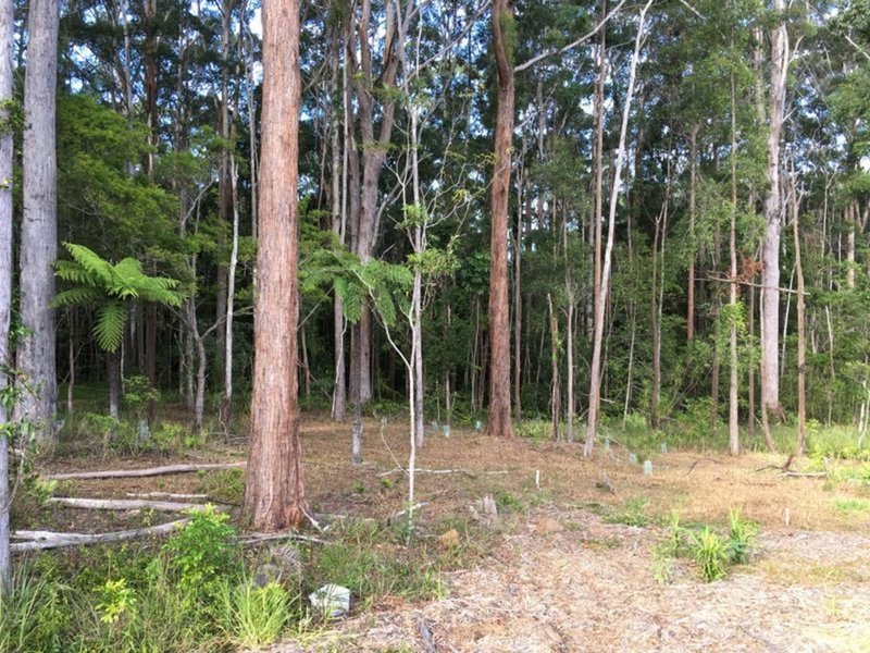 Photo - Lot 9 Mimiwali Drive, Bonville NSW 2450 - Image 4