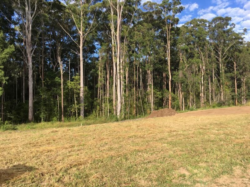 Photo - Lot 9 Mimiwali Drive, Bonville NSW 2450 - Image 6