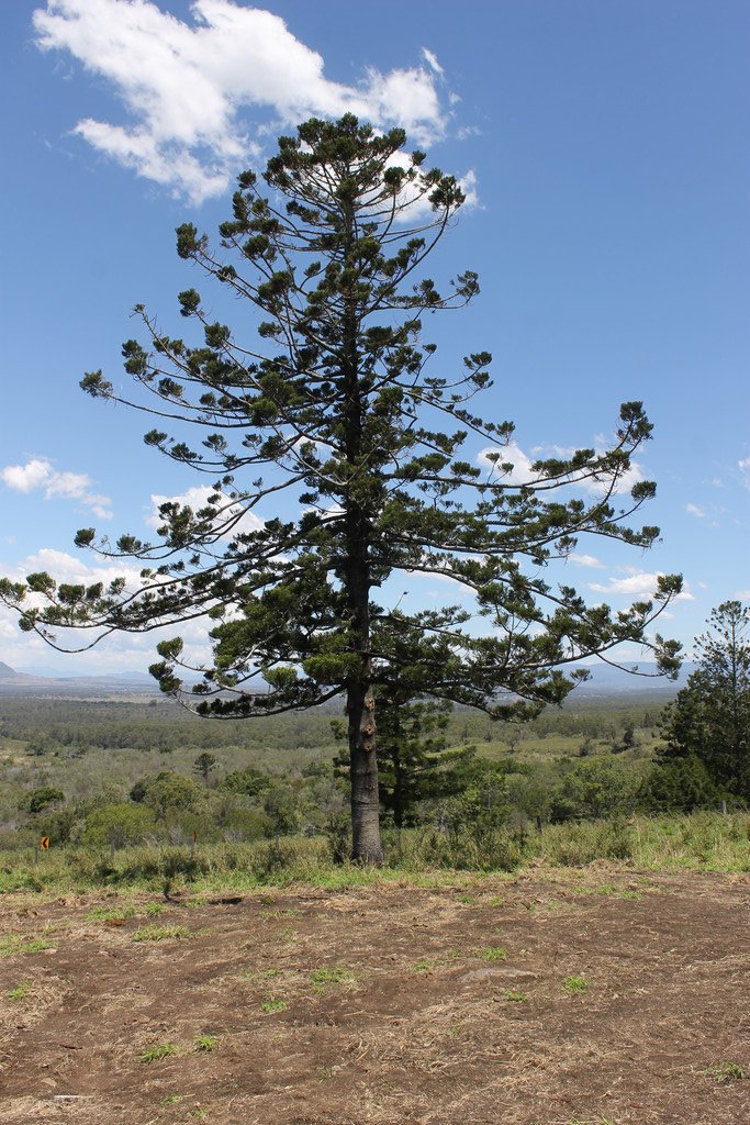 Photo - Lot 90 Greet Road, The Bluff QLD 4340 - Image 8