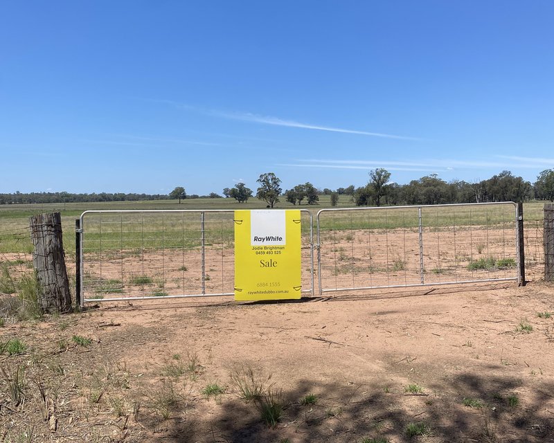 Lot 90 North Minore Road, Minore NSW 2830