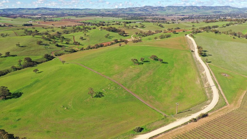 Photo - Lot 90 Rosedale Scenic Road, Lyndoch SA 5351 - Image 5