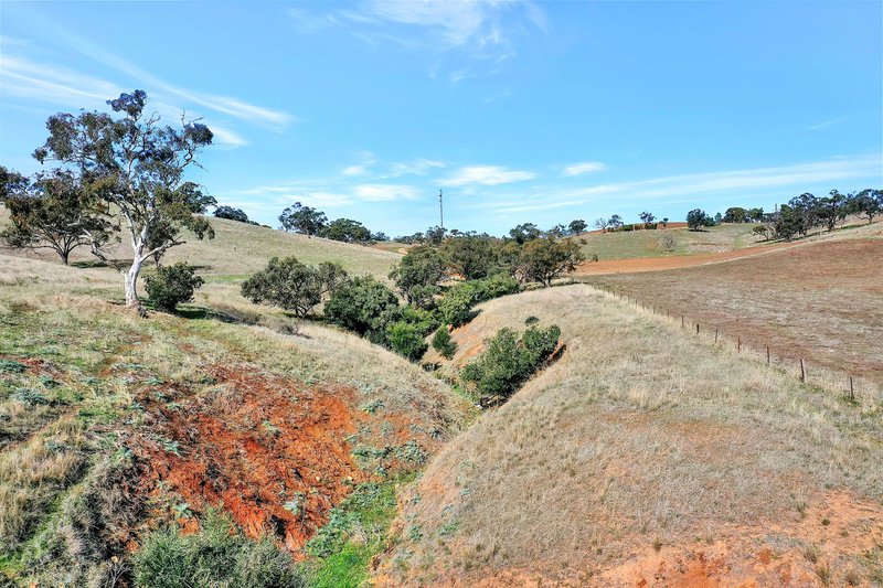 Photo - Lot 90 Rosedale Scenic Road, Lyndoch SA 5351 - Image 6