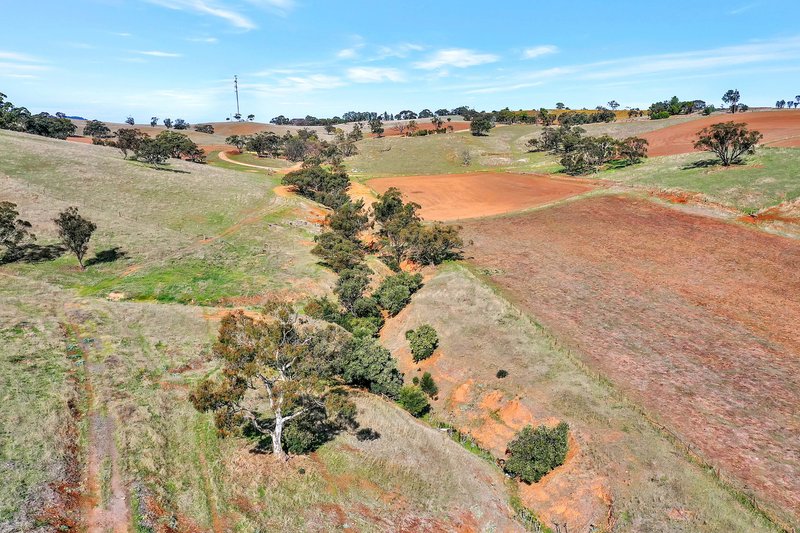 Photo - Lot 90 Rosedale Scenic Road, Lyndoch SA 5351 - Image 7