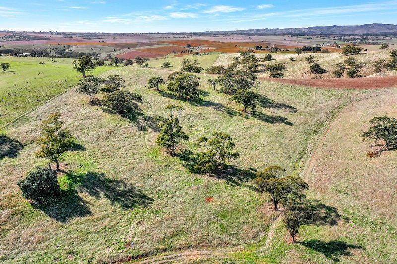 Photo - Lot 90 Rosedale Scenic Road, Lyndoch SA 5351 - Image 8