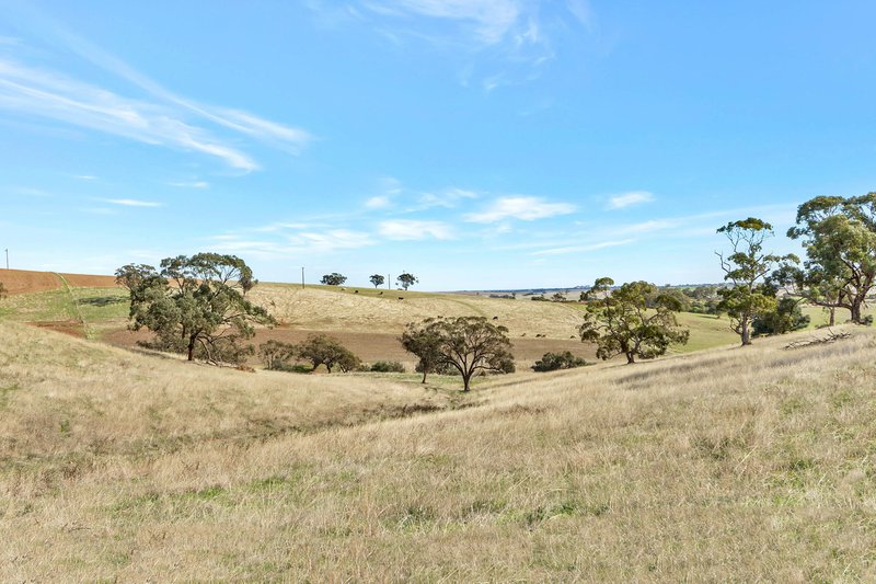 Photo - Lot 90 Rosedale Scenic Road, Lyndoch SA 5351 - Image 11