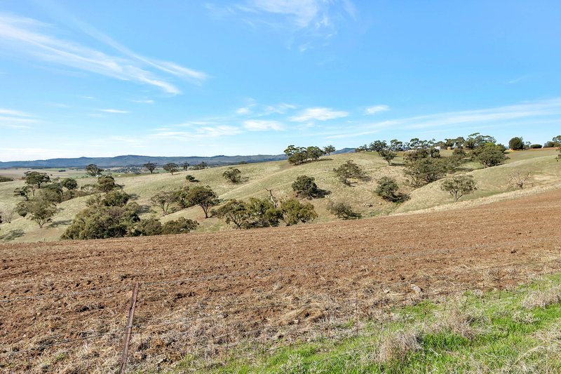 Photo - Lot 90 Rosedale Scenic Road, Lyndoch SA 5351 - Image 12