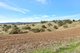 Photo - Lot 90 Rosedale Scenic Road, Lyndoch SA 5351 - Image 12