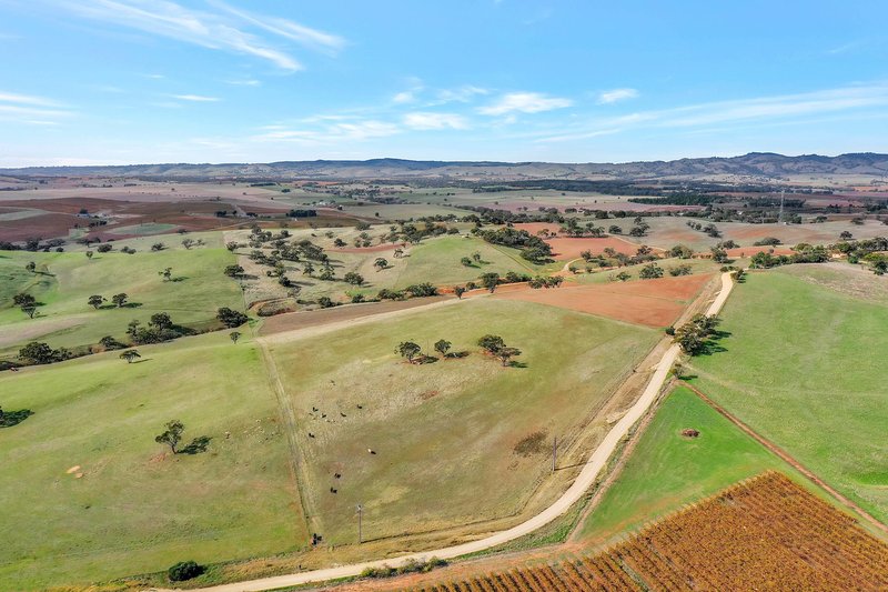 Photo - Lot 90 Rosedale Scenic Road, Lyndoch SA 5351 - Image 13