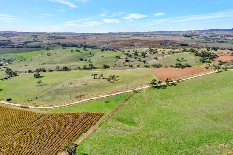 Photo - Lot 90 Rosedale Scenic Road, Lyndoch SA 5351 - Image 14