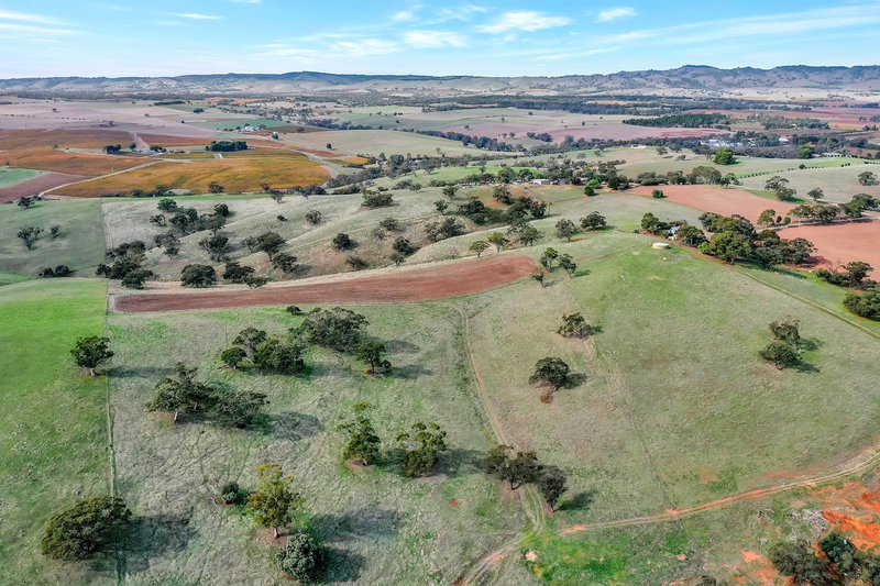 Photo - Lot 90 Rosedale Scenic Road, Lyndoch SA 5351 - Image 16