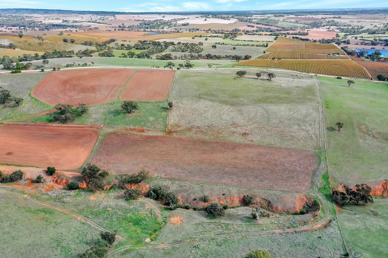 Photo - Lot 90 Rosedale Scenic Road, Lyndoch SA 5351 - Image 17