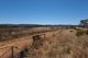 Photo - Lot 900 South Coast Highway, Ravensthorpe WA 6346 - Image 11