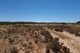 Photo - Lot 900 South Coast Highway, Ravensthorpe WA 6346 - Image 13