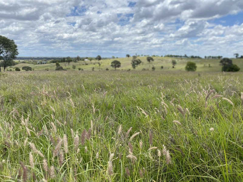 Photo - Lot 900 Wormwell Drive, Roma QLD 4455 - Image 3