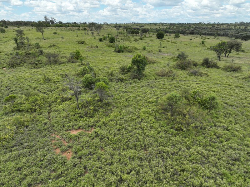 Photo - Lot 900 Wormwell Drive, Roma QLD 4455 - Image 11