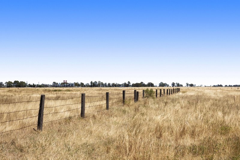 Photo - Lot 905 Showgrounds Road, Oakey QLD 4401 - Image 2