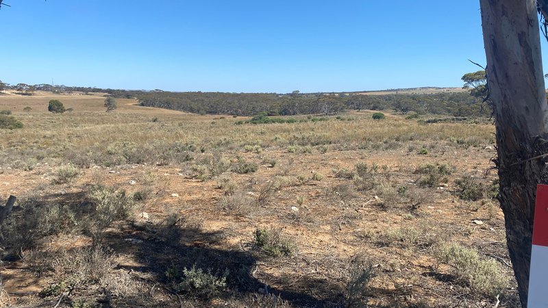 Photo - Lot 91 Falkenberg Road, Black Hill SA 5353 - Image 9