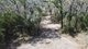 Photo - Lot 91 Pacific Drive, Deepwater QLD 4674 - Image 3