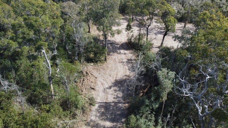 Photo - Lot 91 Pacific Drive, Deepwater QLD 4674 - Image 9