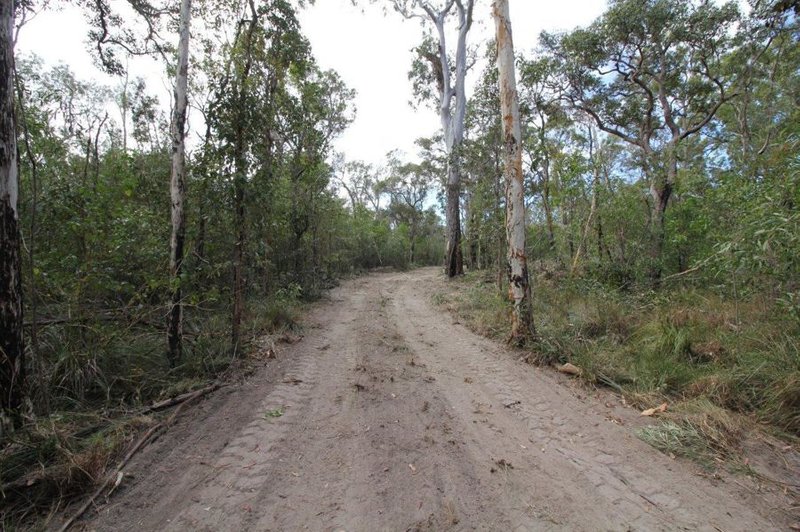 Photo - Lot 91 Pacific Drive, Deepwater QLD 4674 - Image 16