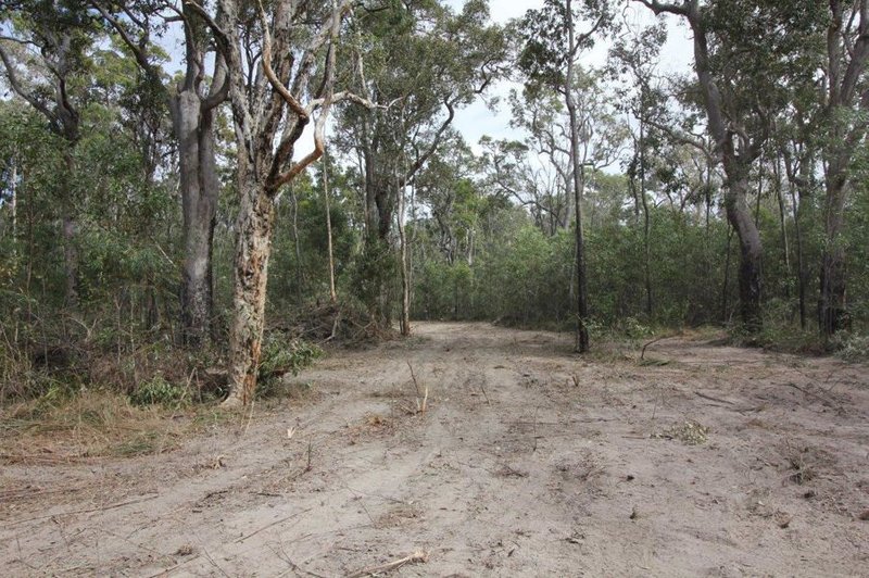 Photo - Lot 91 Pacific Drive, Deepwater QLD 4674 - Image 19