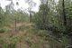 Photo - Lot 91 Pacific Drive, Deepwater QLD 4674 - Image 20