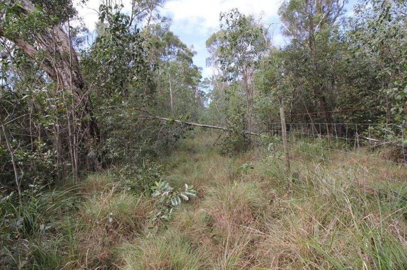 Photo - Lot 91 Pacific Drive, Deepwater QLD 4674 - Image 21