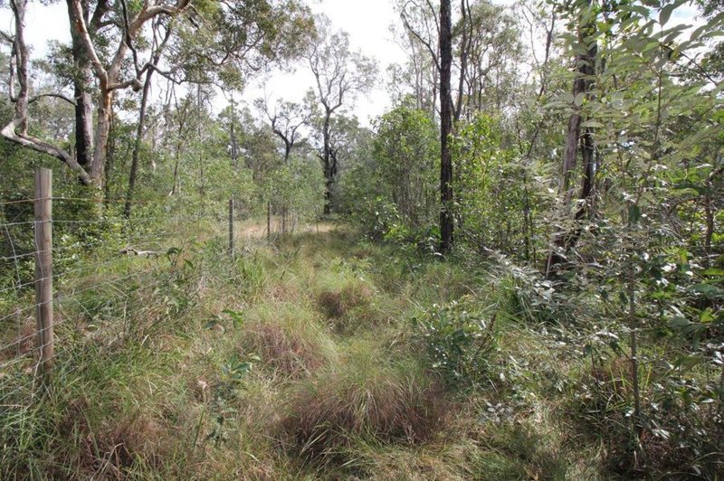 Photo - Lot 91 Pacific Drive, Deepwater QLD 4674 - Image 22