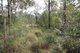 Photo - Lot 91 Pacific Drive, Deepwater QLD 4674 - Image 22