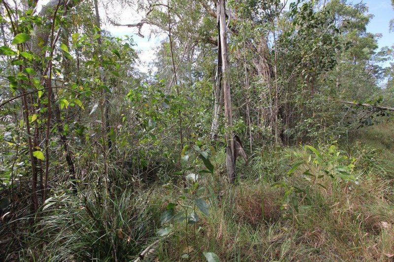 Photo - Lot 91 Pacific Drive, Deepwater QLD 4674 - Image 23