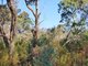 Photo - Lot 9/2240 Roses Gap Road, Wartook VIC 3401 - Image 10