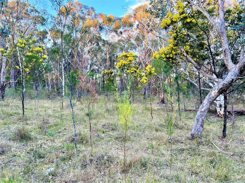 Photo - Lot 93 Jerrara Road, Marulan NSW 2579 - Image 12