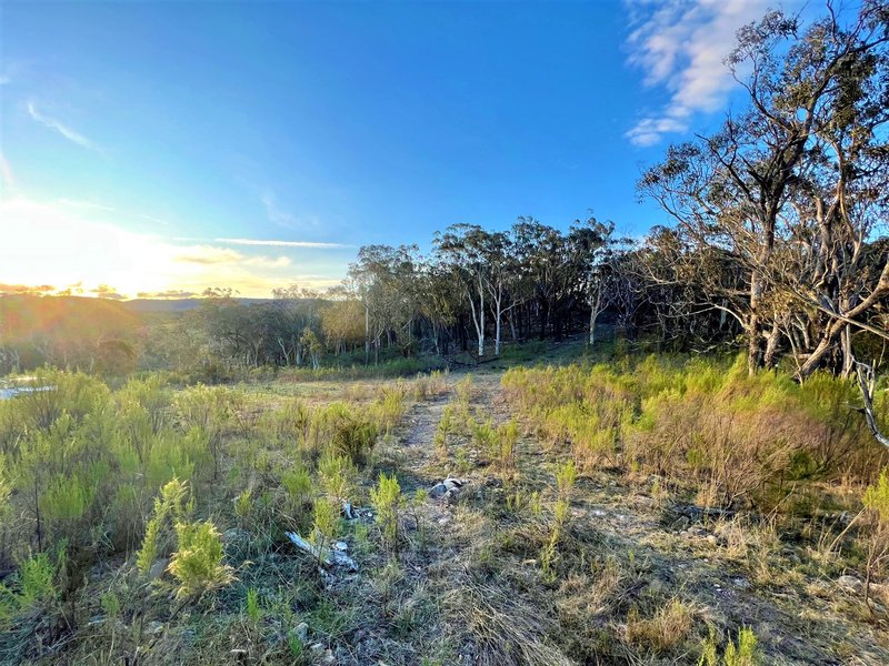 Photo - Lot 93 Jerrara Road, Marulan NSW 2579 - Image 14