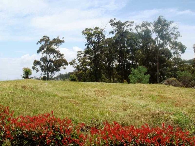 Photo - Lot 932 Hilltop Parkway, Tallwoods Village NSW 2430 - Image 4