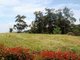 Photo - Lot 932 Hilltop Parkway, Tallwoods Village NSW 2430 - Image 4