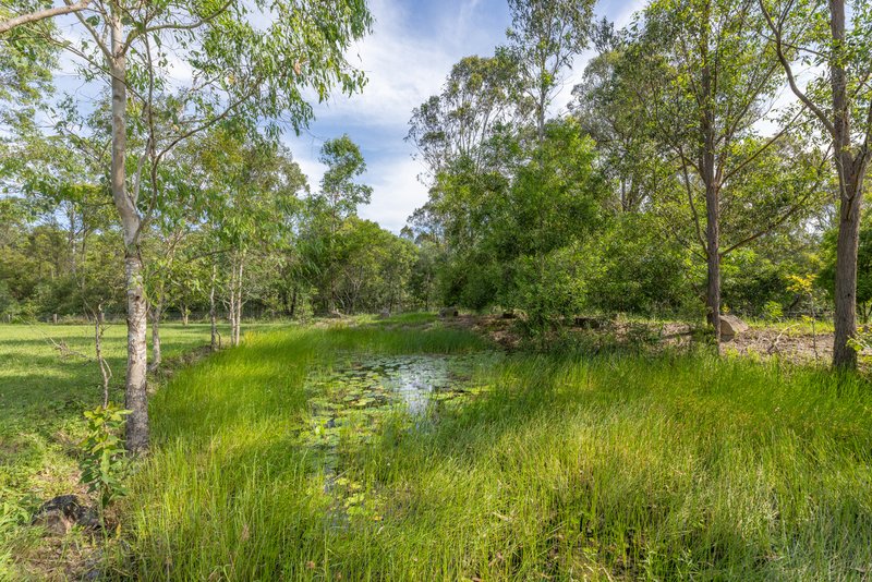 Photo - Lot 9/49 Mcleod Lane, D'Aguilar QLD 4514 - Image 14