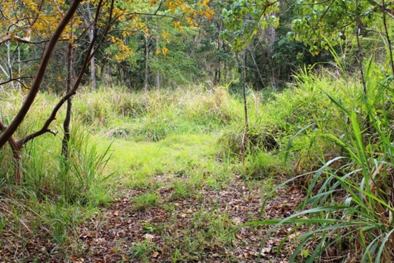 Photo - Lot  95 Ashton Road, Gregory River QLD 4800 - Image 10