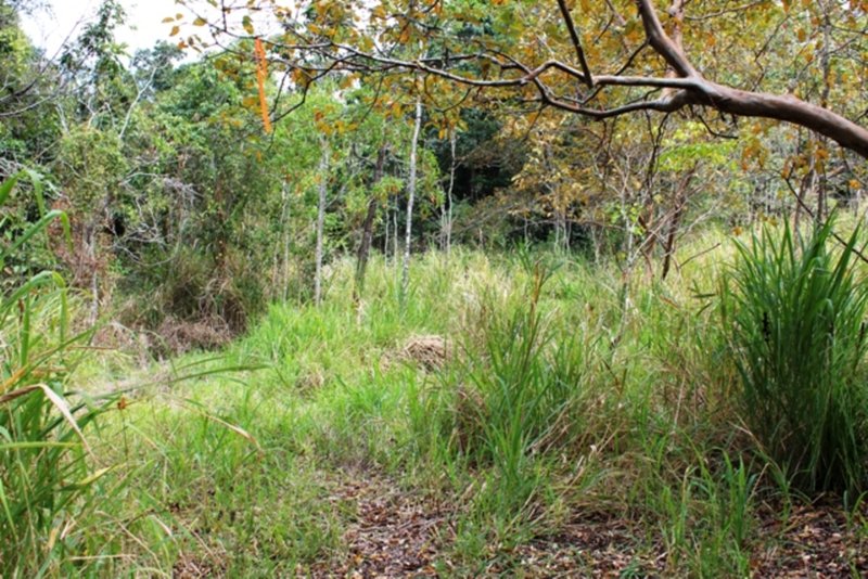 Photo - Lot  95 Ashton Road, Gregory River QLD 4800 - Image 11