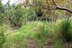 Photo - Lot  95 Ashton Road, Gregory River QLD 4800 - Image 11