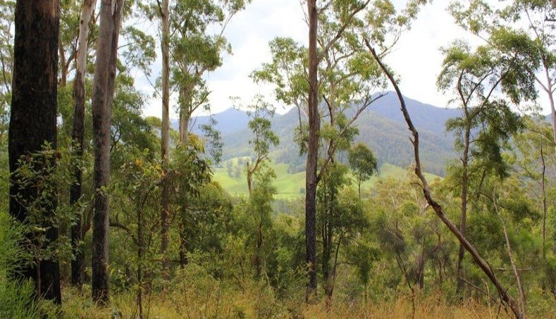 Lot 95 Kennaicle Road, Missabotti NSW 2449