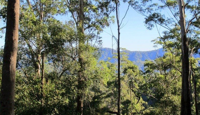 Photo - Lot 95 Kennaicle Road, Missabotti NSW 2449 - Image 2